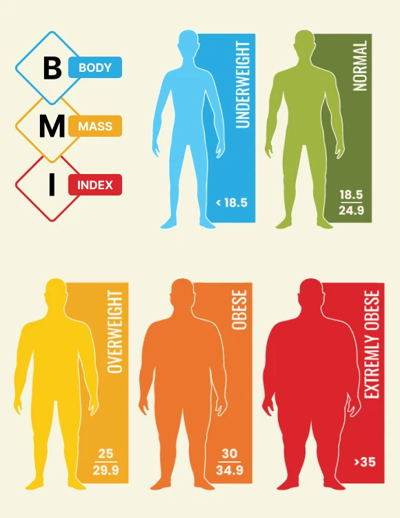 Body Mass Index Calculator