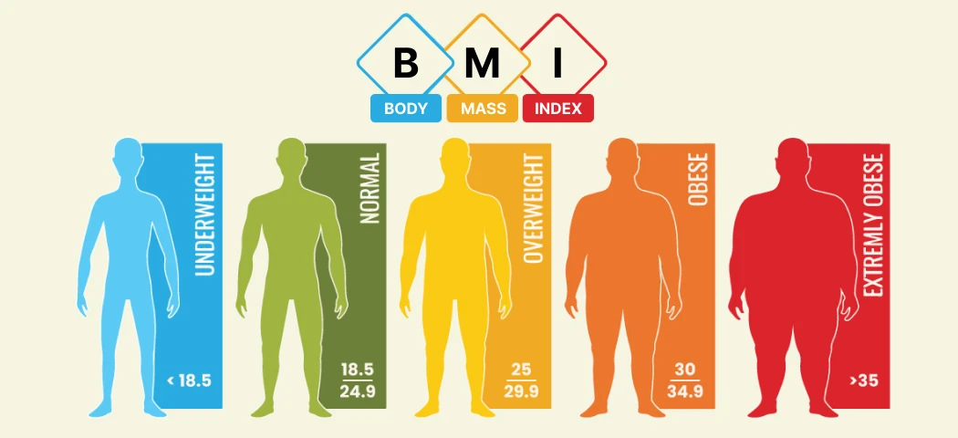 Body Mass Index Calculator
