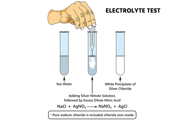 electrolyte test electrolyte test