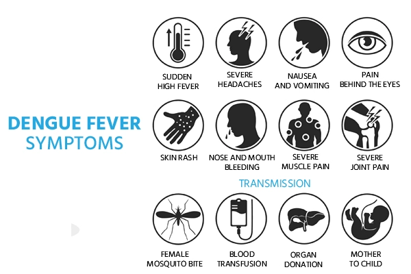 dengue symptoms