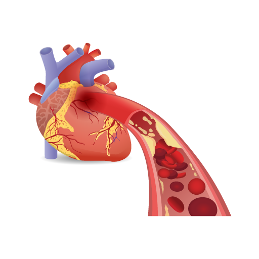 Cardiothoracic Treatment in Kurnool