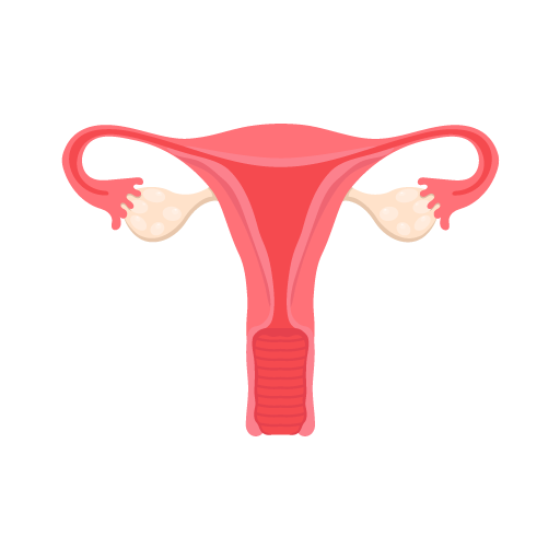 Gynecology Treatment in Pune