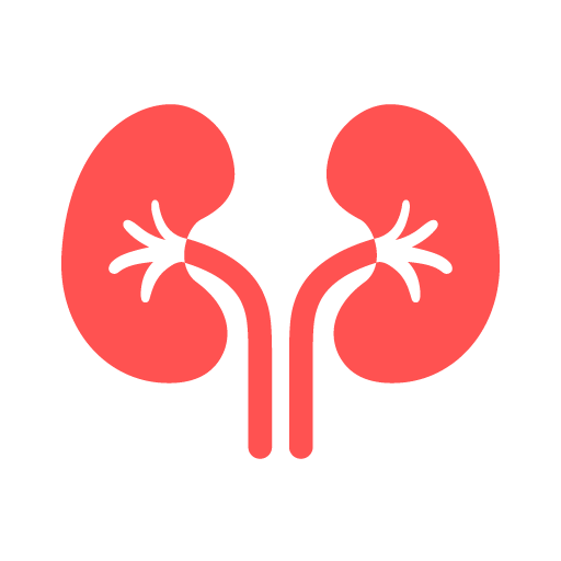 Nephrology Treatment in Pune