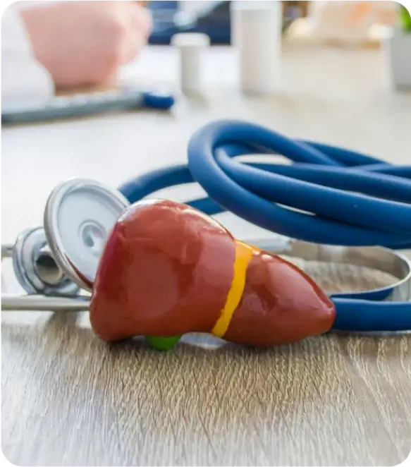 Liver Health Checkup Package
