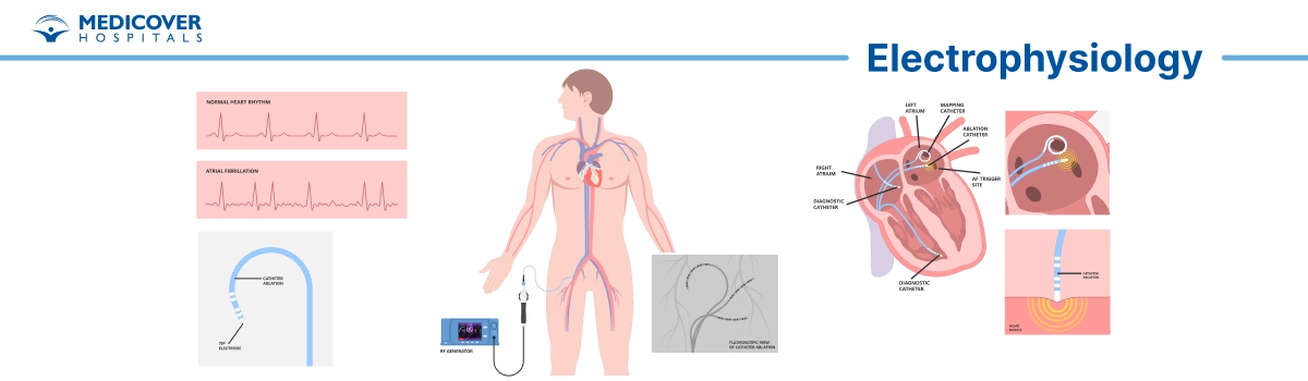 Electrophysiological
