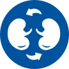 Kidney Transplantation