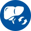 Liver Transplantation