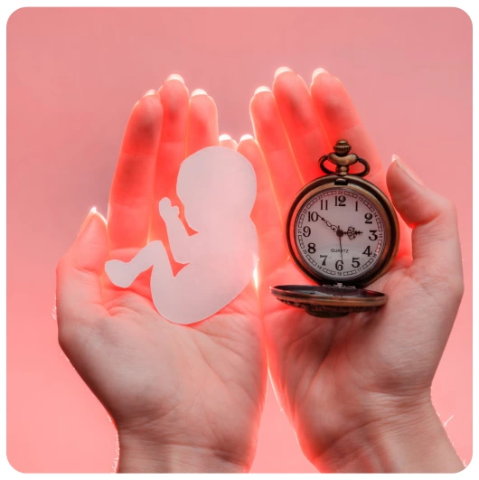 Fertility Care