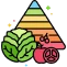 Child Nutrition