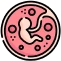 Learn More about Fertility